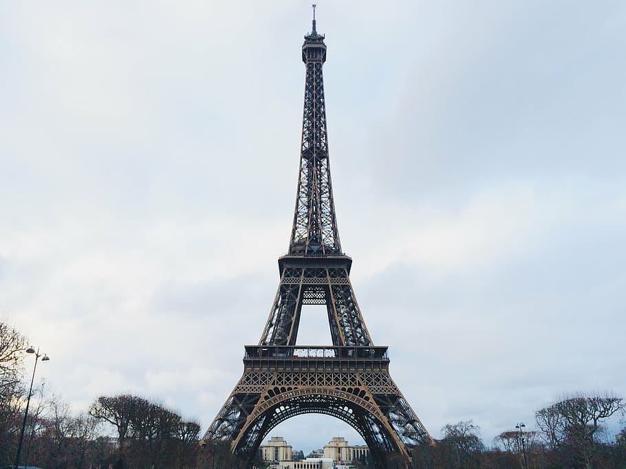low, angle photography, eiffel tower, cloudy, skies, eifle, tower, france, paris, trees