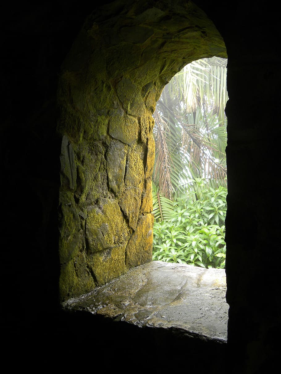 green leafed plant, window, portal, stone, age, moss, green, puerto rico, nature, indoors