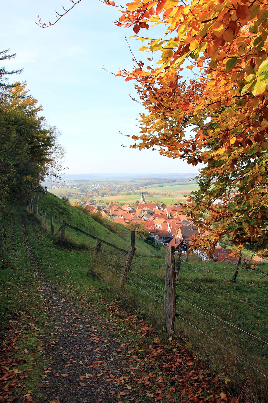 distância, cerca, paisagem, floresta de teutoburgo, vila, vista, folhas, outono, contar vistas, schwalenberg