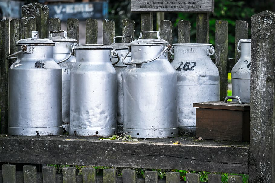 close-up photography, several, assorted, gray, stainless, steel containers, milk cans, jugs, milk, agriculture