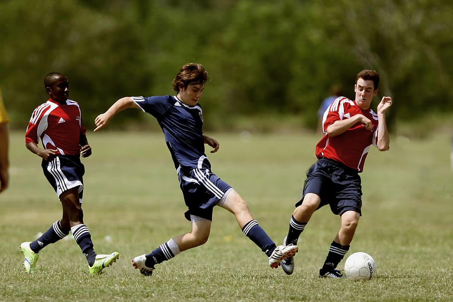 three, male, playing, soccer, action, football, player, play, game, soccer pitch