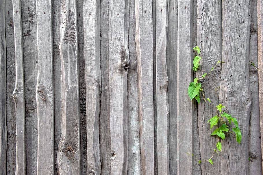 fence, texture, old, the structure of the, wood, boards, background, surface, weathered, material