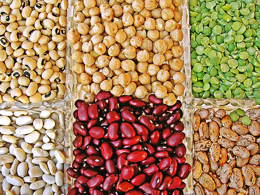 assorted, beans, display counter, legumes, power, chickpeas, jewish, food, seed, lentil