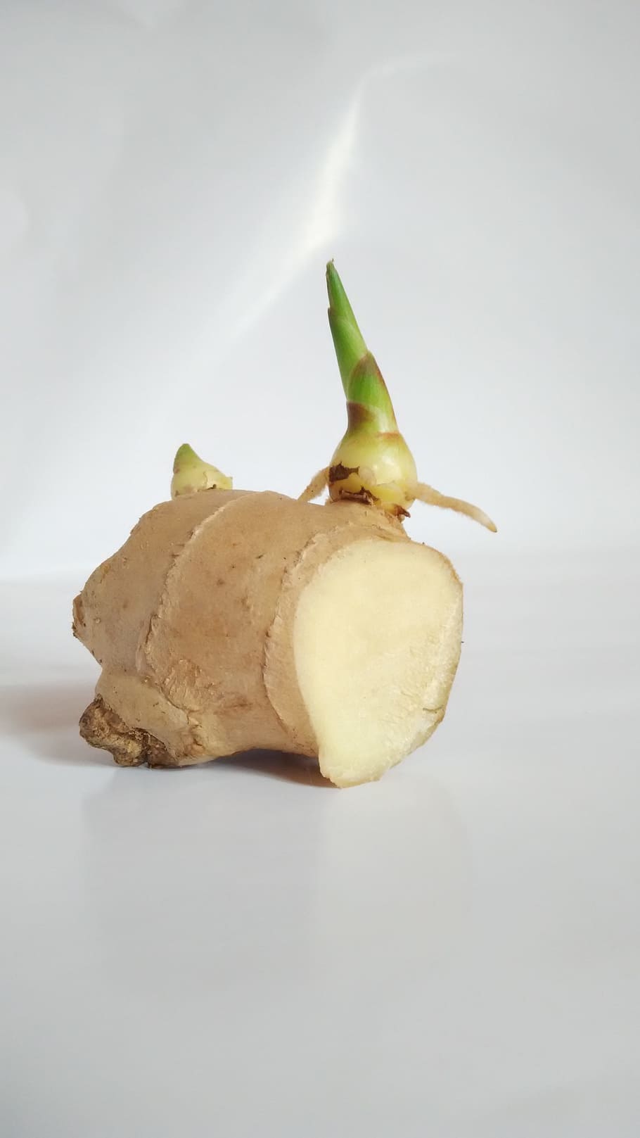 Ginger, Germination, ginger sprout, studio shot, food and drink, white background, food, freshness, indoors, still life