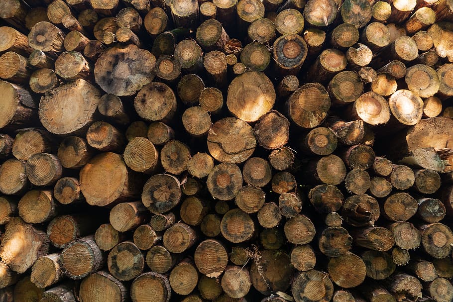 wood, timber, stack, firewood, forestry, stacked, woodpile, forest, fuel, lumberyard