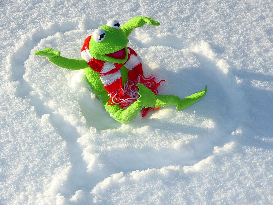 green, frog, snow, kermit, fun, winter, cold, cold temperature, nature, snowman