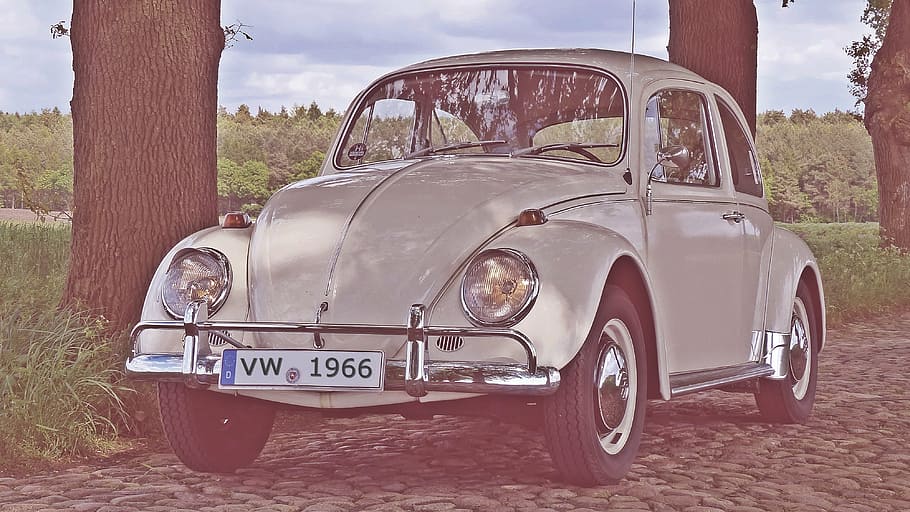 white, volkswagen, classic, beetle, parked, tree, vw beetle, old photo, oldtimer, vw