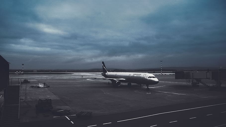 white, airplane, nighttime, airport, vnukovo, plane, terminal, blue, the gloom, weather