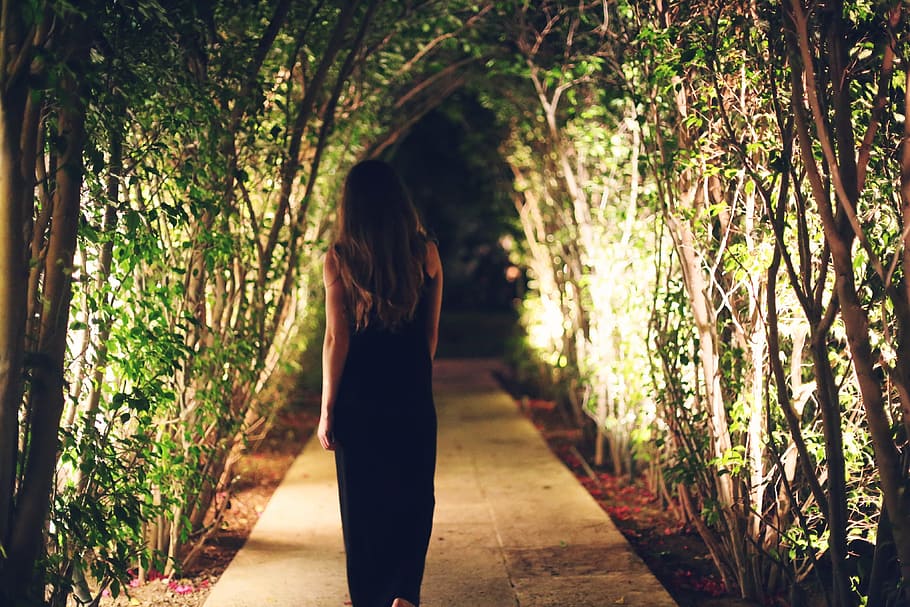 woman, standing, middle, pathway, inline trees, people, female, girl, walking, alone