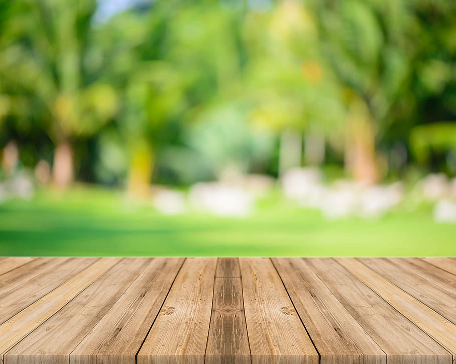 sunshine, woods, plank, wood - material, tree, outdoors, day, green color, grass, park - man made space