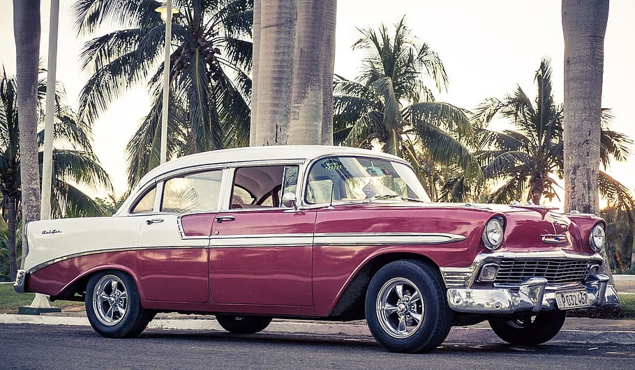 classic, white, maroon, sedan, palm trees, oldtimer, cuba, auto, havana, automotive