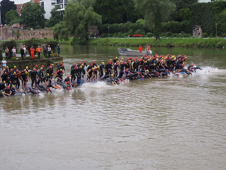 Competition, Start, Swim, track and field athletes, athletes, triathlon, danube, ulm, swimmer, wetsuits