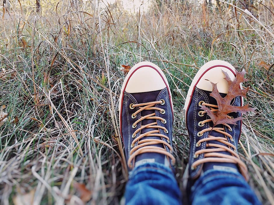 converse, chucks, sneakers, fall, leaves, shoe, low section, one person, human leg, body part
