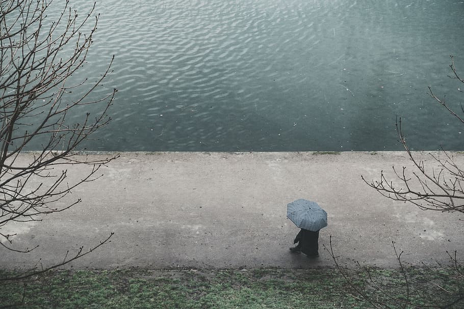 pessoa, guarda-chuva, andando, ao lado, corpo, agua, rio, chuva, pessoas, árvore