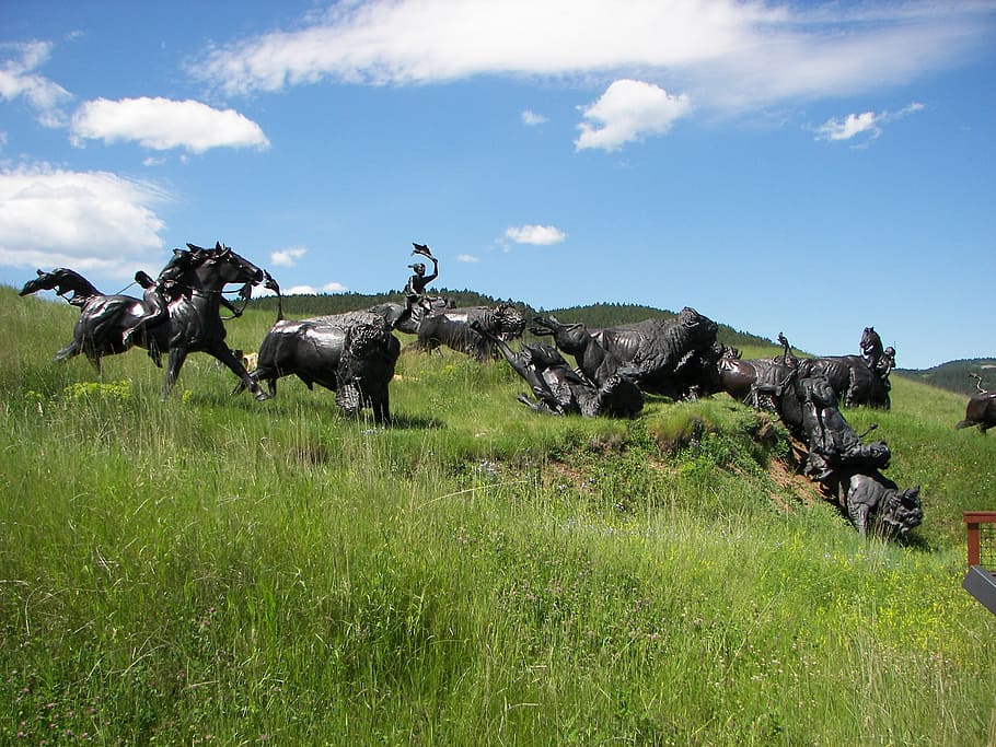 tatonka, buffalo, indians, south dakota, bison, meadow, sculpture, outdoors, landscape, tourism