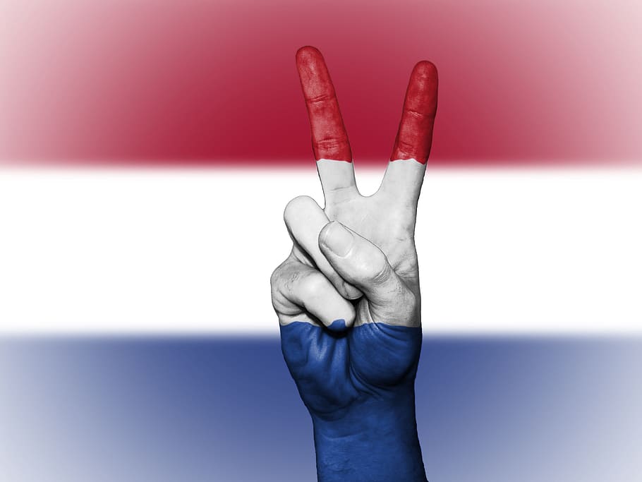 Países Bajos, paz, mano, nación, fondo, pancarta, colores, país, bandera, icono