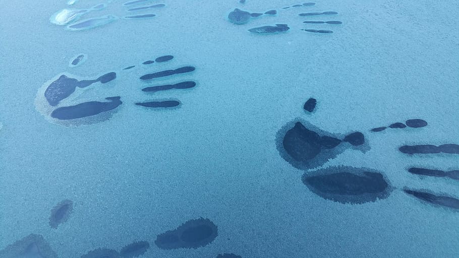 Hand Print, Frost, Winter, Frosted, frozen, print, full frame, close-up, communication, backgrounds