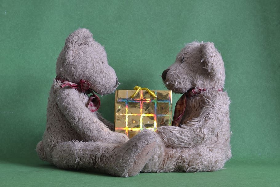 two, gray, bear, plush, toys, facing, Present, Sharing, Package, gift