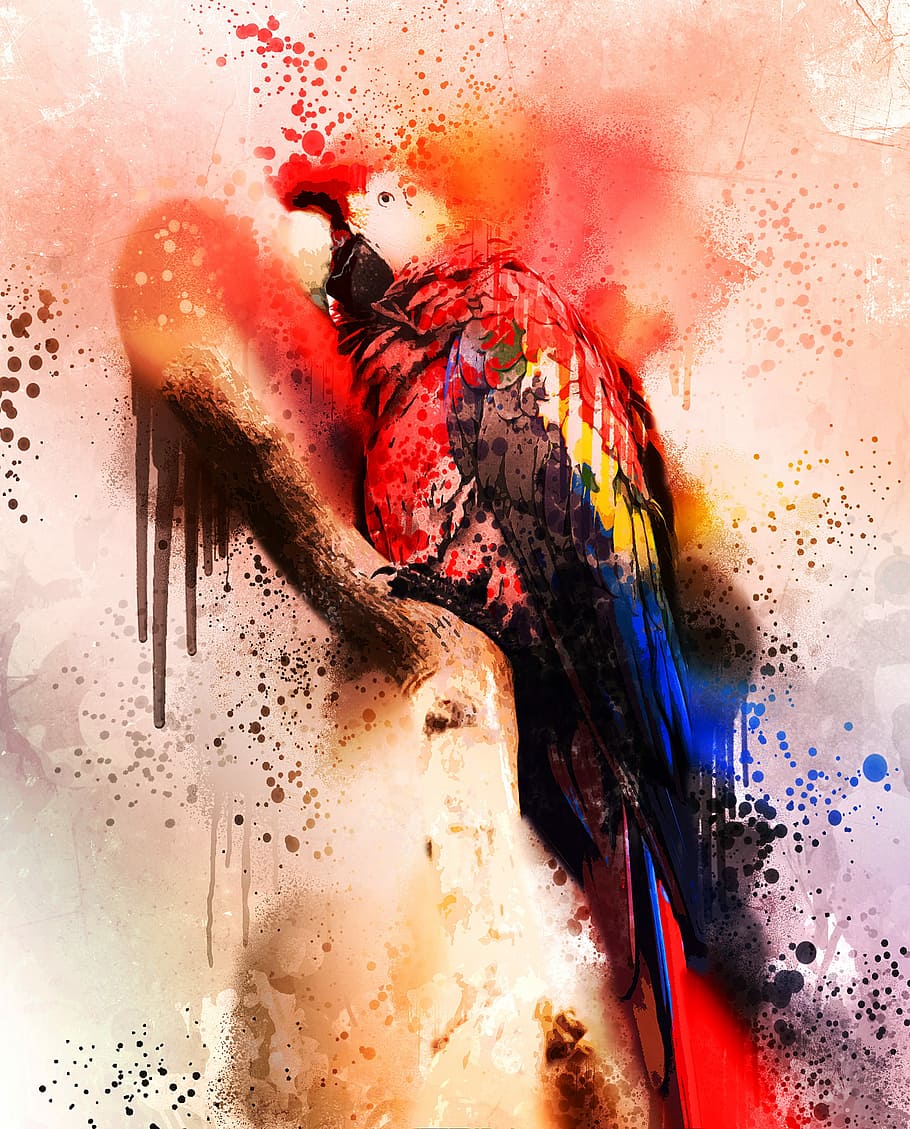 red, blue, yellow, macaw bird painting, bird, colorful, macaw, spray, painting, watercolor