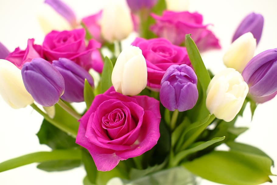 purple, pink, petaled flowers, bouquet, bouquet of roses, tulip bouquet, roses, tulips, flowers, spring