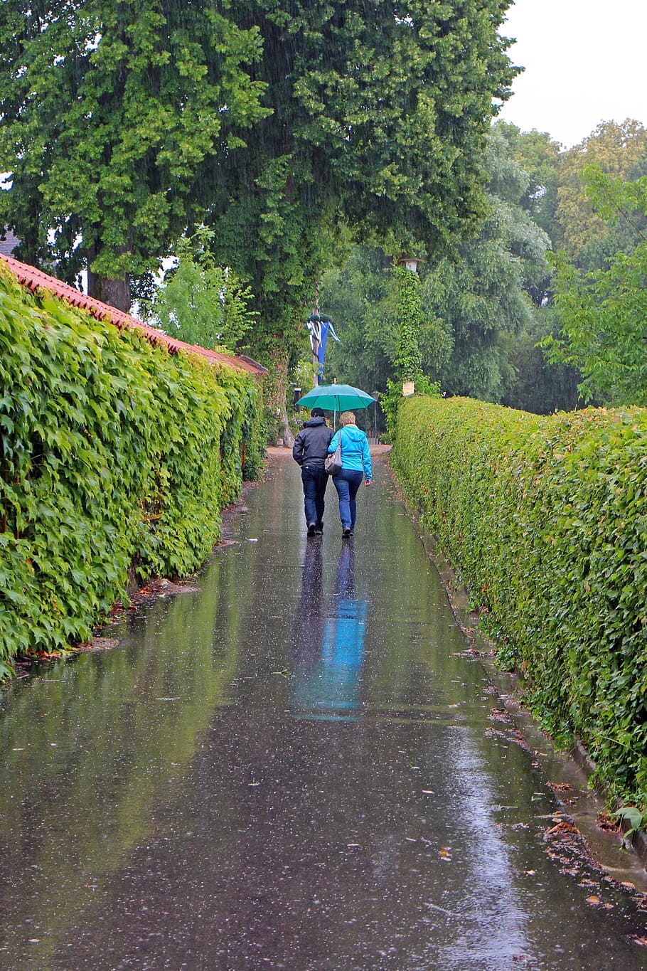 歩く, 雨が降る, ペア, 雨, 個人, 傘, ウェット, トゥルーブ, 恐ろしい, 行く