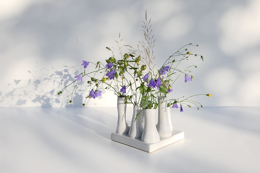 keramik, dekorasi, bunga liar, bellflower, ungu, bunga, rumput, lembut, romantis, bayangan