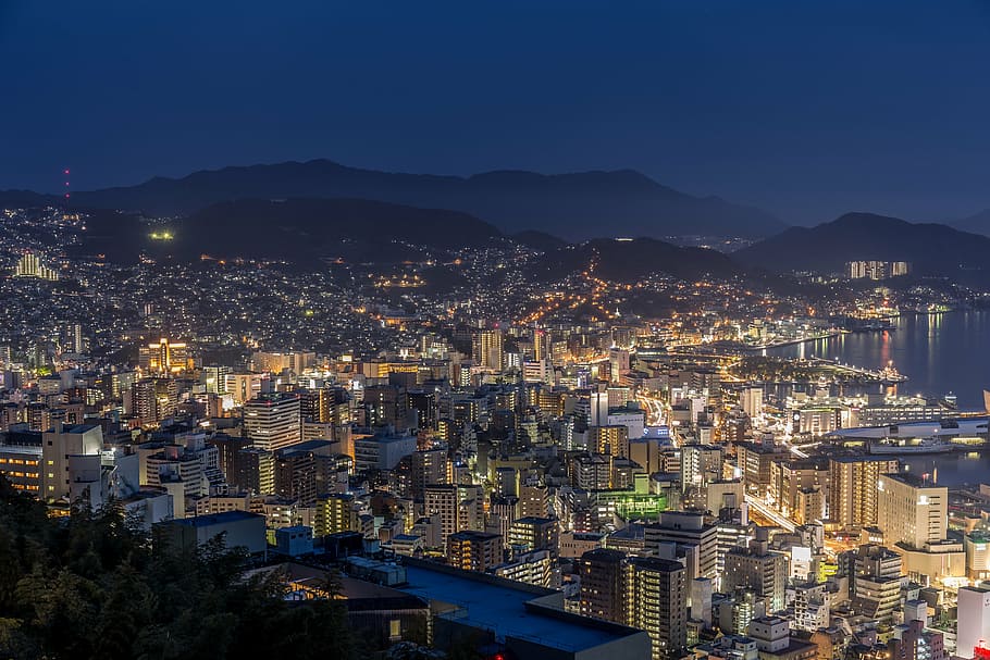 bird, eye view photography, city, nightime, nagasaki, night view, japan's three major night view, night, cityscape, light