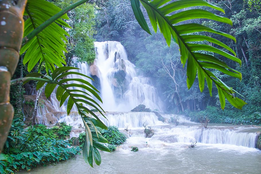 Kuang Si Falls, Waterfall, Water, Play, water play, leaf, tree, palm tree, nature, plant