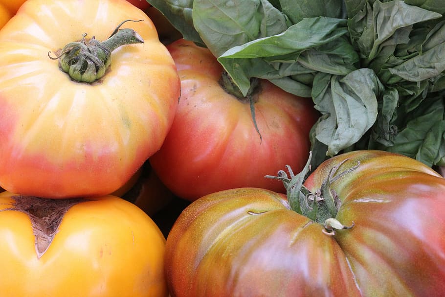 heirloom, tomatoes, tomato, vegetable, red, healthy, organic, health food, fresh vegetables, food and drink