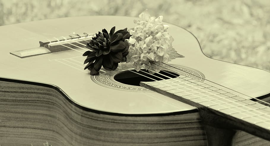grayscale photo, guitar, flowers, music, stringed instrument, instrument, acoustics, wooden guitar, black white, floral greeting