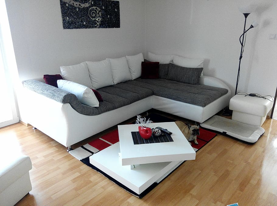 vacant, white, brown, sectional, sofa, room, living-room, the interior of the, panorama, decoration