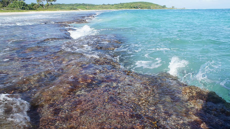 beach, jamaica, caribbean, tropical, sea, landscape, sand, ocean, water, beauty in nature