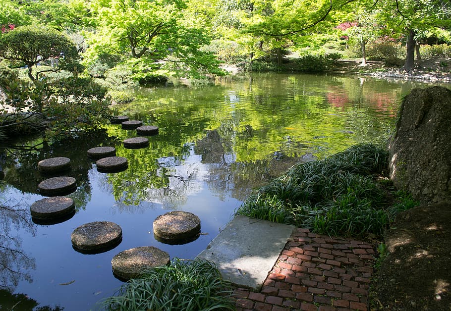 body, water, surrounded, trees, fort worth, texas, japan, japanese, garden, gardens
