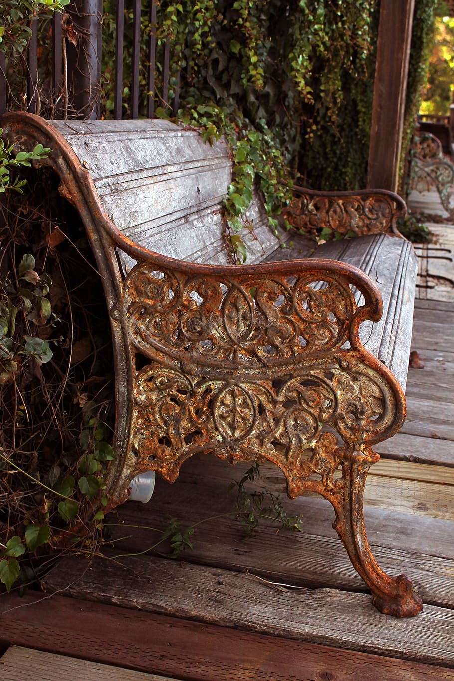bench, rustic, antique, boardwalk, storefront, ivy, fence, day, wood - material, plant