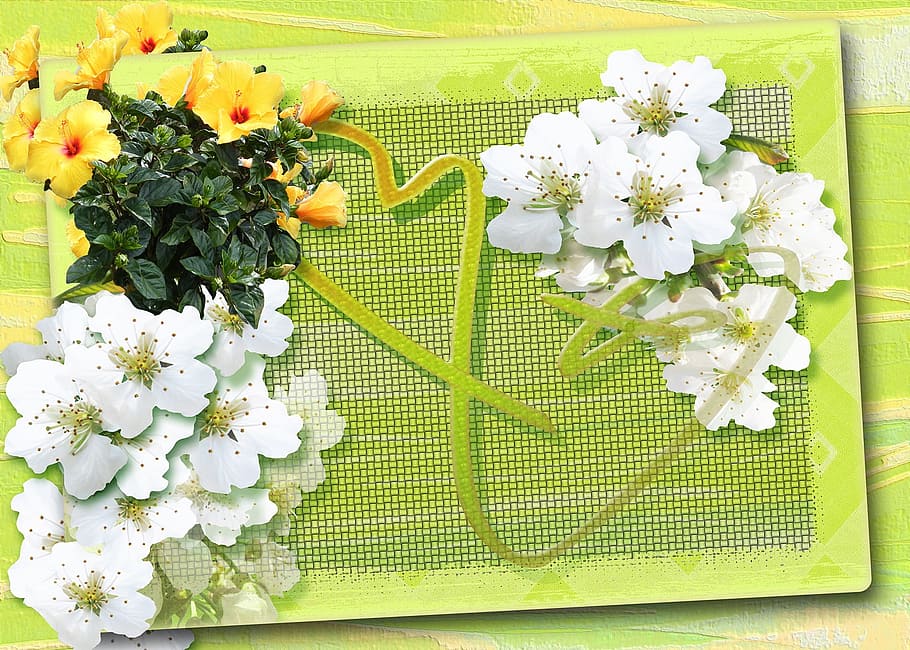 closeup, white, yellow, petaled flowers, happy easter, easter, easter greeting, collage, postcard, greeting card