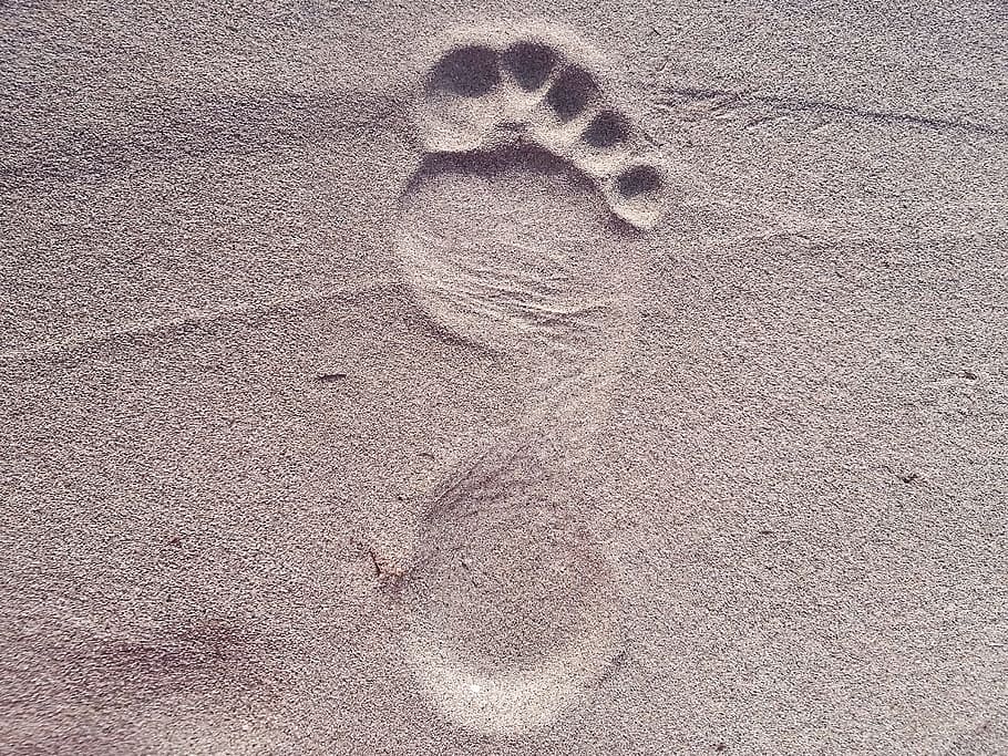 sand footprint, daytime, \, footprint, foot, sand, beach, sign, step, steps