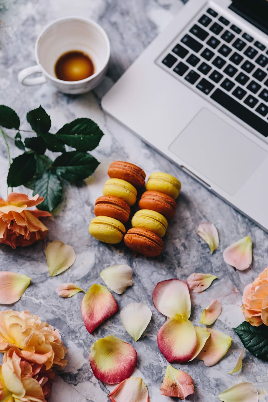 overhead, view, macarons, marble slab, Overhead view, marble, slab, roses, workspace, workplace