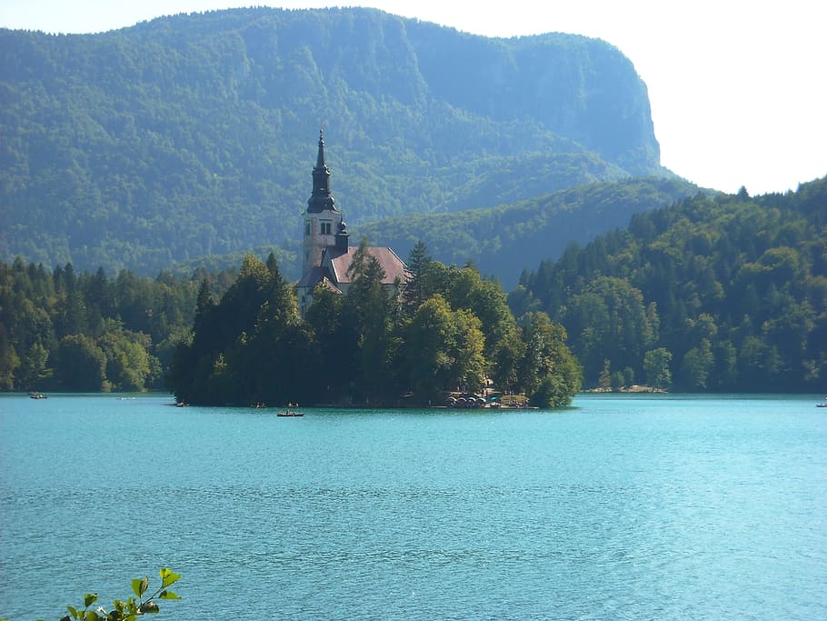 lago, sangrado, eslovenia, viaje, gita, vacaciones, naturaleza, agua, árbol, planta