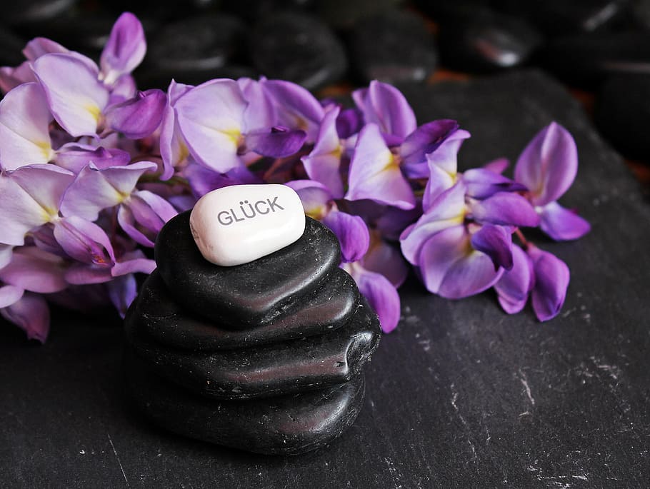stack, black, white, pebbles, purple, petaled flowers, balance, meditation, stones, zen
