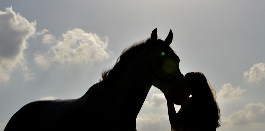 bajo, fotografía de silueta de ángulo, mujer, caballo, ángulo bajo, silueta, fotografía, puesta de sol, beso, niña