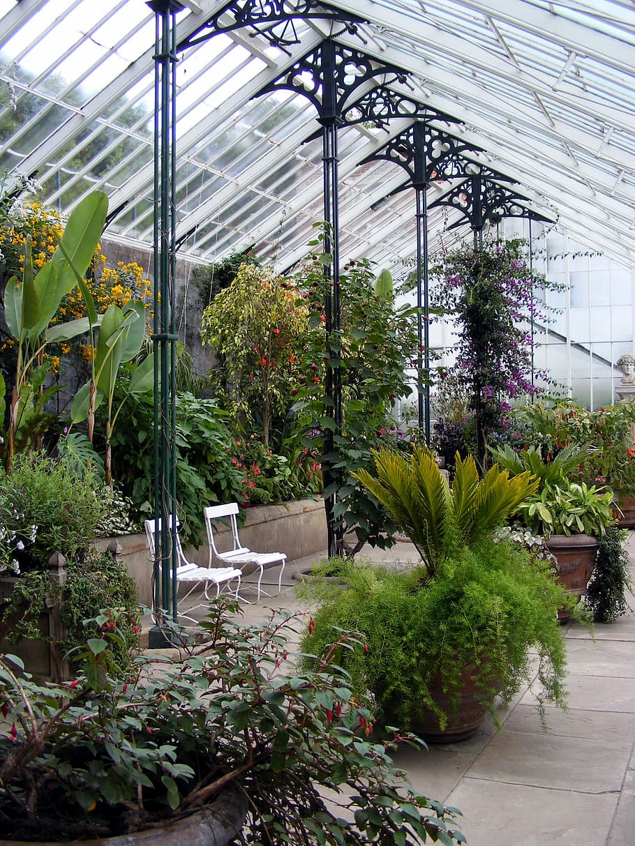 glasshouse, greenhouse, plant, hothouse, horticulture, nursery, glass, pillars, seating, botanical