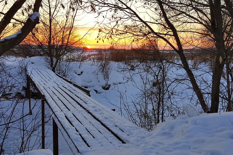 winter, sunset, snow, frost, bridge, cold, trees, branches, landscape, white