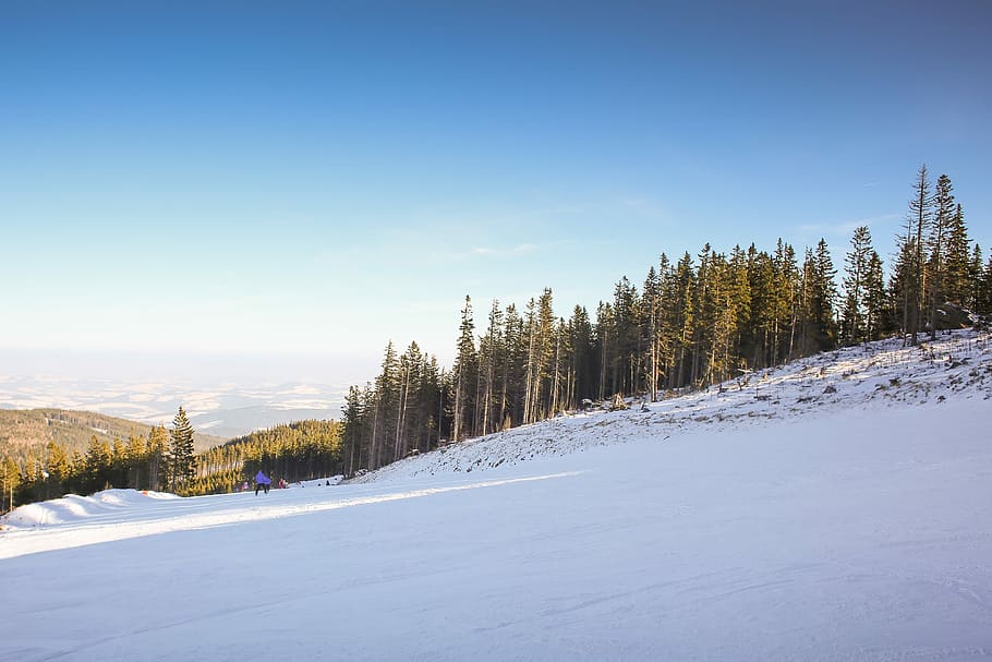 青, 空, スキー場, 青い空, オーストリア, 寒さ, 森, 丘, 山, 自然
