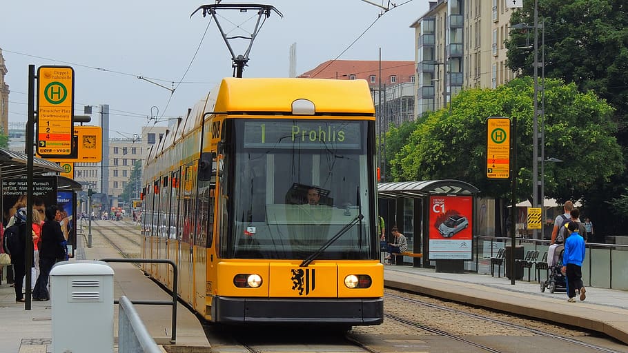 prahlis train, dresden, tram, germany, city, european, urban, transport, transportation, street