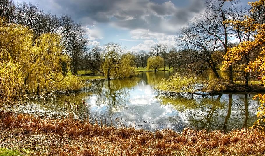 photography, lake, surrounded, plants, trees, cloudy, skies, park, braunschweig, nature