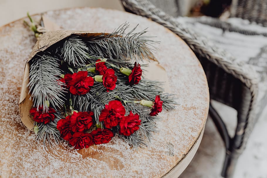 carnations, red, bouquet, pine, flowers, snow, ze, Winter, christmas, decoration