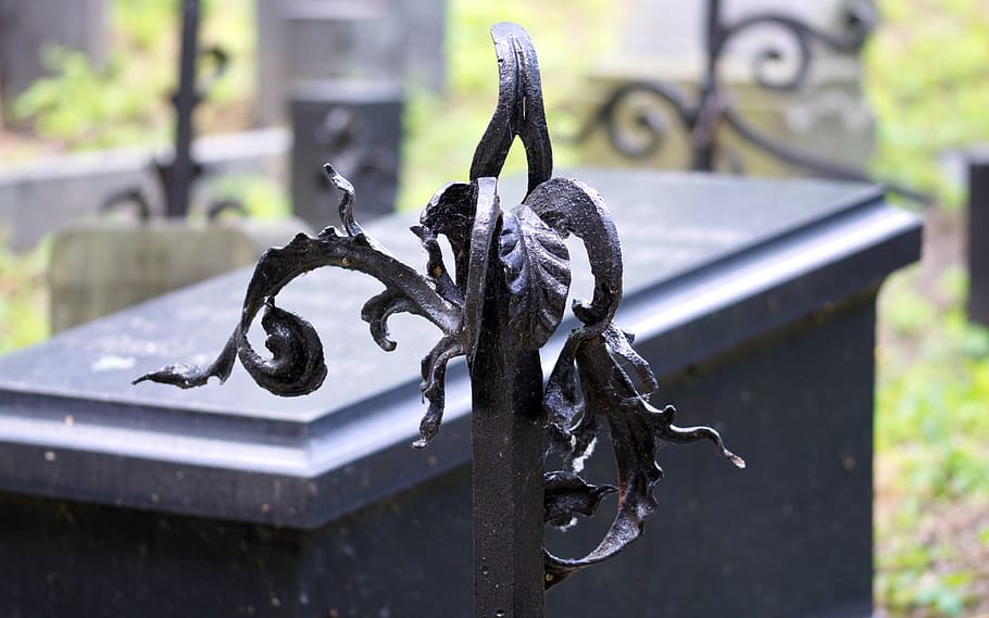 art, metal, leaves, black, fence, cemetery, the funeral, ornament, decoration, model