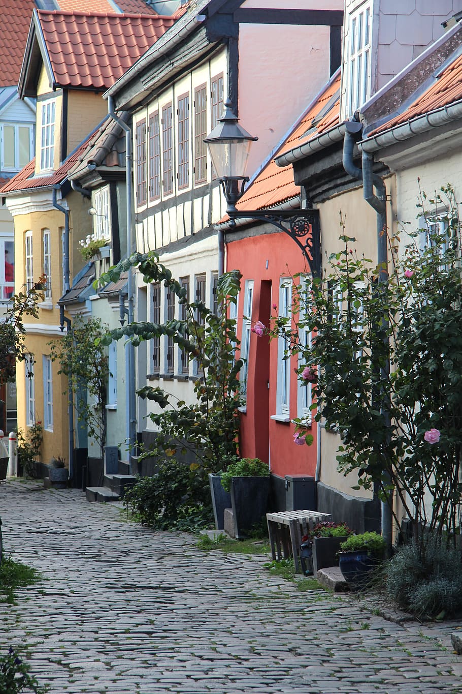 aalborg, denmark, alley, historic center, idyll, architecture, houses, backyard, fachwerkhaus, building