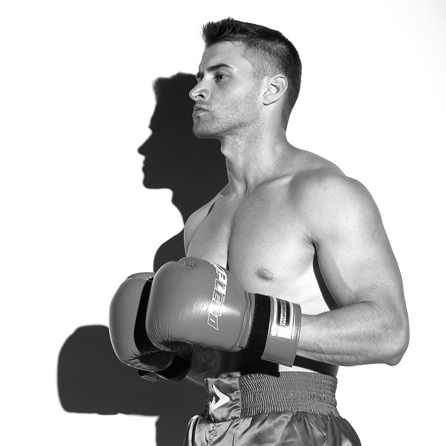 boxing, sport, model, boxer, kickboxing, athlete, fitness, cut out, young men, men