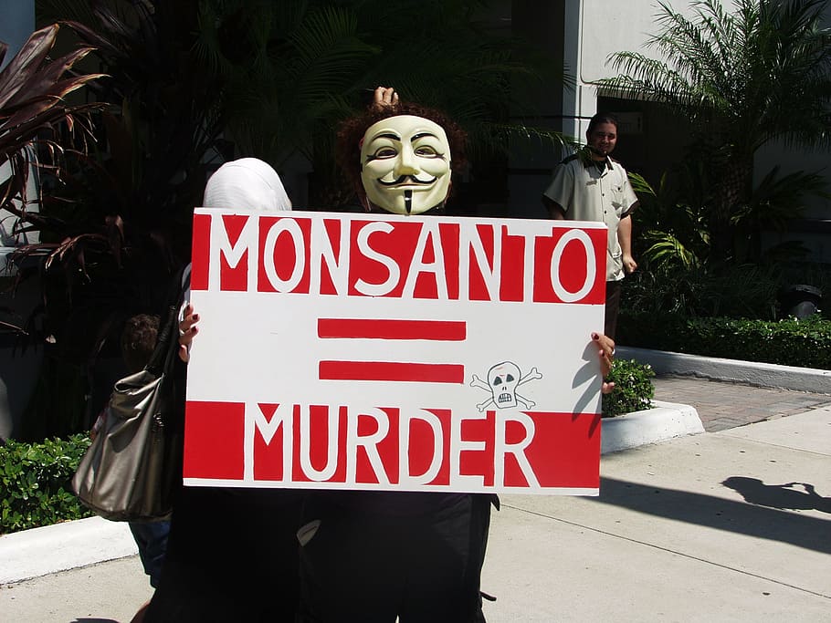 protest, anger, gmo, anomim, mask, text, western script, communication, sign, day